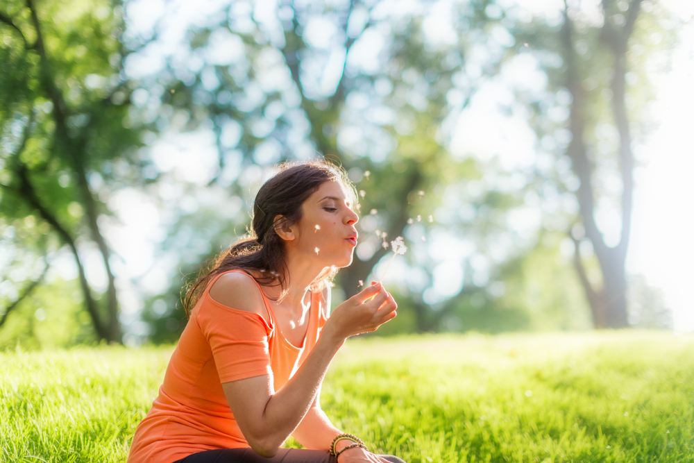 Portrait of a girl blowing a dandelion at sunset